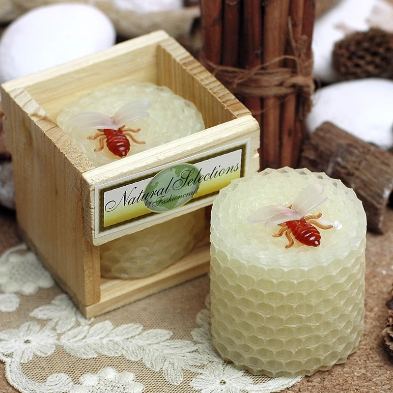 Candle Supplies In - Forniture per feste di compleanno per
