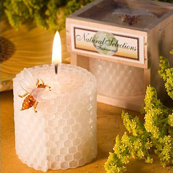 Forniture per feste di complea - Candle Supplies In recensione e prezzo